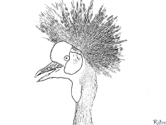 crane Shafukan Masu Launi Da Ake Bugawa